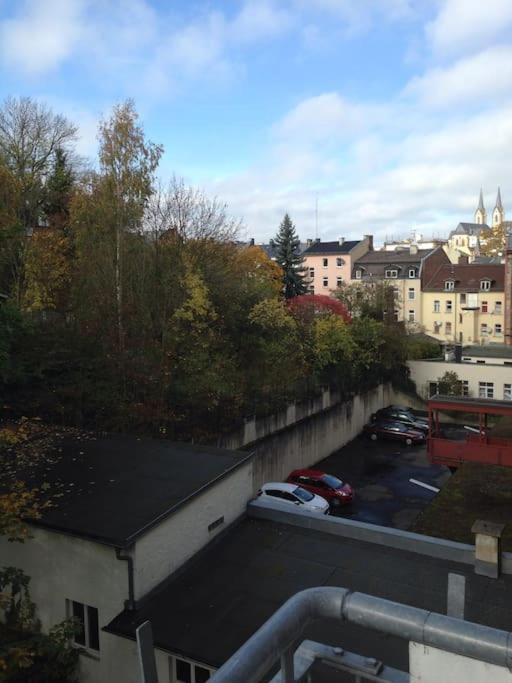 Schoenes City-Apartment Im Zentrum Mit Balkon Hof  Eksteriør bilde